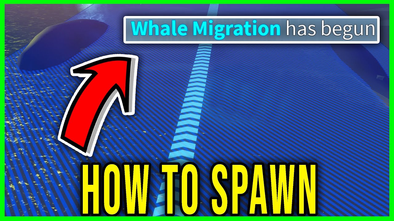 WHALE MIGRATION - HOW TO SPAWN EASILY [FISCH] - Roblox - YouTube