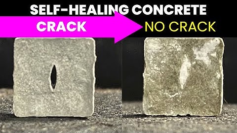 Self-Healing Concrete Fills Any Cracks That Form | Future Technology & Science News 102