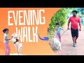 Evening walk      