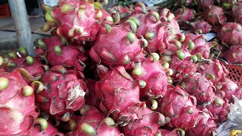 Quali sono tutti i frutti tropicali?