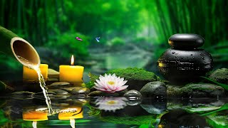 Bamboo Water Fountain - Relaxing Anti Stress Music to Calm the Mind | Nature View by Peaceful Relaxation 625 views 3 weeks ago 3 hours, 23 minutes