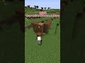 【マイクラ】進化した隠し部屋#shorts #マイクラ #マインクラフト #minecraft #まいくら