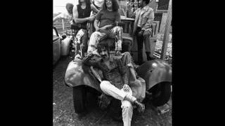 Frank Zappa - Netherlands (You Didn't Try To Call Me)