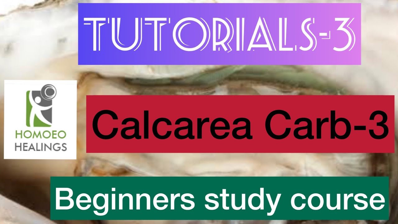 Calcarea Carb 30 Uses In Hindi | TUTORIALS 3 | CALCAREA CARB | STUDY OF MEDICINE | DR NEELAM AVTAR