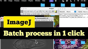 ImageJ Macros for beginners: How to process 500 images in a single click | ImageJ Batch Processing