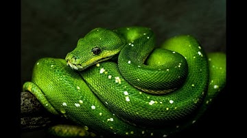 Pembahasan tugas logika dan algoritma + dasar pemrograman pertemuan 3