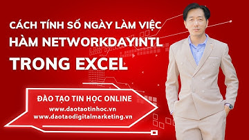 Cách Sử Dụng Hàm Networkdayintl Tính Số Ngày Làm Việc Trong Excel Cực Hay  - Daotaotinhoc.vn