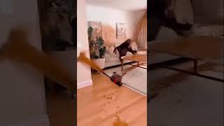 #maymunlar #hayvanlar #cocacola #beautiful #beautiful #viral #shortvideo