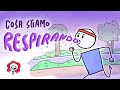 INQUINAMENTO DELL'ARIA - Cosa stiamo respirando