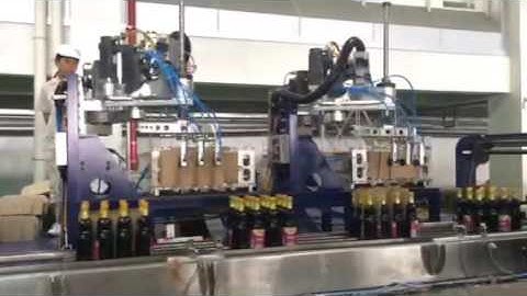 wrap around carton box machine and  delta robot