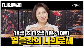 [타로] 12월초 열흘간의 나의운세🔮