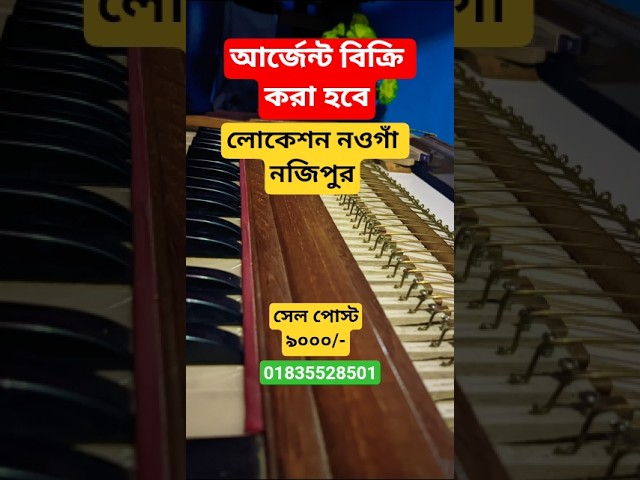 New Sangeetalaya Harmonium for Sale