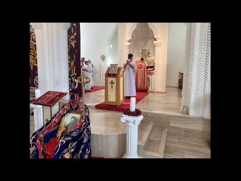 Video: Moeder Gods Van Zeytun Of Het Mysterie Van De Verschijningen Van De Maagd Maria Aan Menigten Mensen In Zeytun (Egypte) - Alternatieve Mening