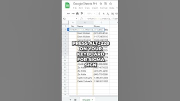 Auto Number Sequence when Data is Duplicate