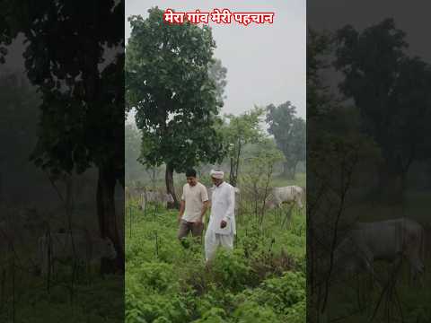 गांव ॥ #viral #villagelife