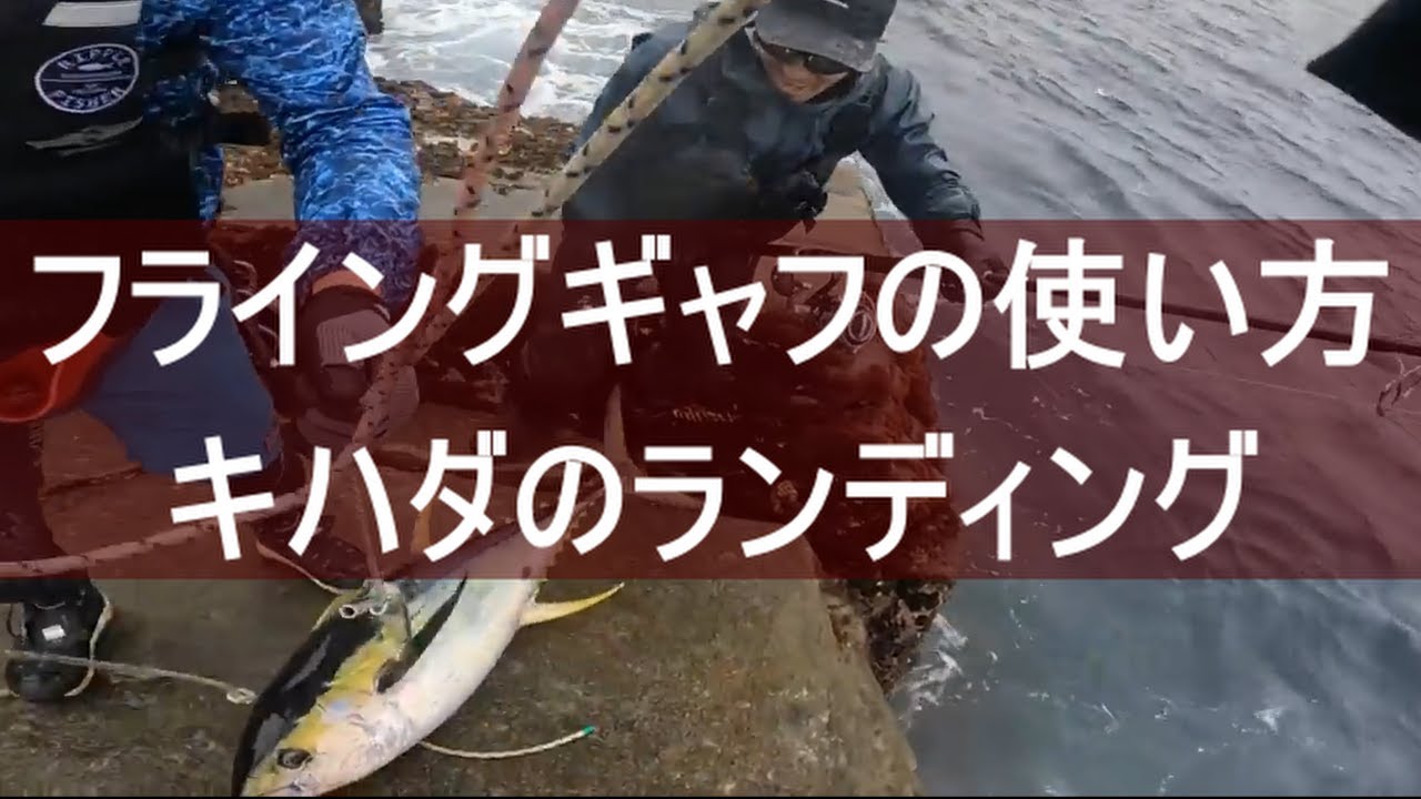 フライングギャフの使い方！キハダマグロのランディング集【ロックショア】
