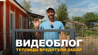 видео: БЛОГ: ДЕРЕВЕНСКИЕ ЗАБОТЫ, ОБНОВКИ НА УЧАСТКЕ И РАБОТА В САДУ. картинка: БЛОГ: ДЕРЕВЕНСКИЕ ЗАБОТЫ, ОБНОВКИ НА УЧАСТКЕ И РАБОТА В САДУ.