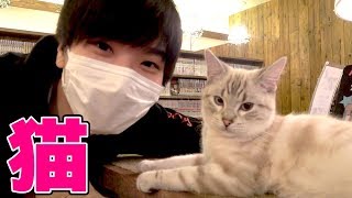 ご飯あげ放題！人生初の猫カフェで大興奮！！