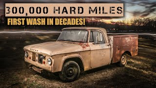 Can We REVIVE This 300,000 Mile Farm Truck? First Wash in Decades!