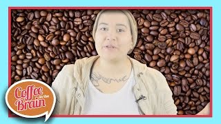 The Difference Between Coffee and Espresso | Coffee On The Brain