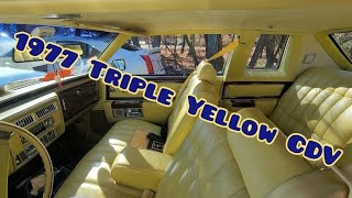 🐤 1977 Cadillac Coupe deVille Triple Naples Yellow Clean MINT Example #deville