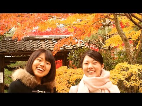 恋するフォーチュンクッキー　同志社女子大学×京田辺ＰＲver 《完成》!