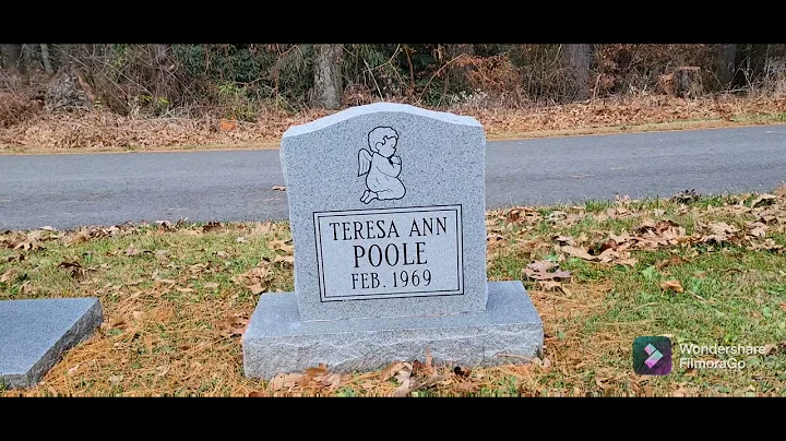 Teresa Ann Poole