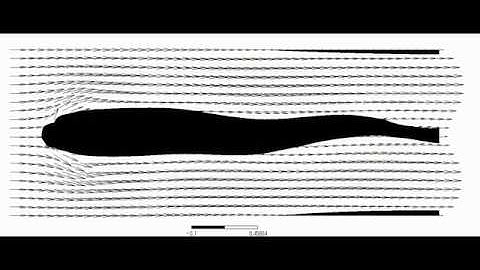 (2)Karman vortex behaves a swimming fish like motion?