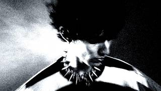 My New Cologne  wag Nightmare   