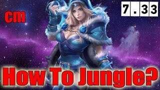 Dota 2 How To Jungle Cm Patch 7.33 Irg