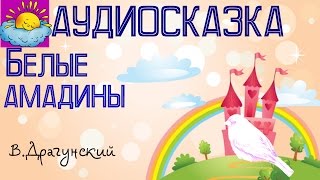 Аудиосказка, Белые амадины, В.Драгунский