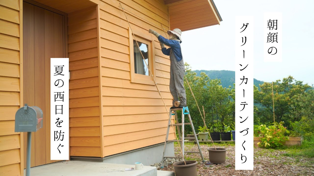 朝顔のグリーンカーテンをつくるよ2023｜西日を防ぎたい