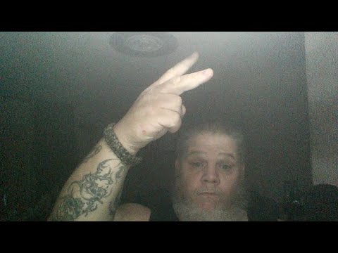 pythons for sale Late Night With Andrew (DEA)