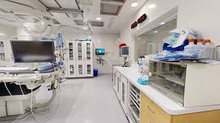Virtual Angiography Suite   Short Video