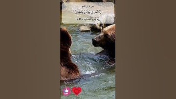 ربنا اغفر لي ولوالدي | سورة إبراهيم #دعاء_ورسالة  surat ibrahim