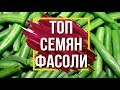 Лучшие Сорта Спаржевой Фасоли 🌱 Семена Фасоли ✔️ Советы от Garden zoo