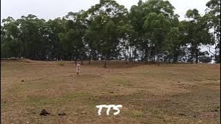 piknik di kobong . hutan cemara Fatumnasi Kapan TTS NTT ❤