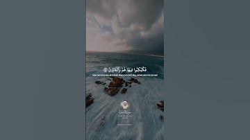 سوره شعرا | سوره الشعراء | شیخ یاسر آل دوسری | تلاوت مسحور کننده | شاهکار