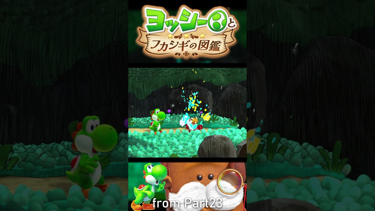 Are you the Bird of Paradise?! :23 [Yoshi and the Mysterious