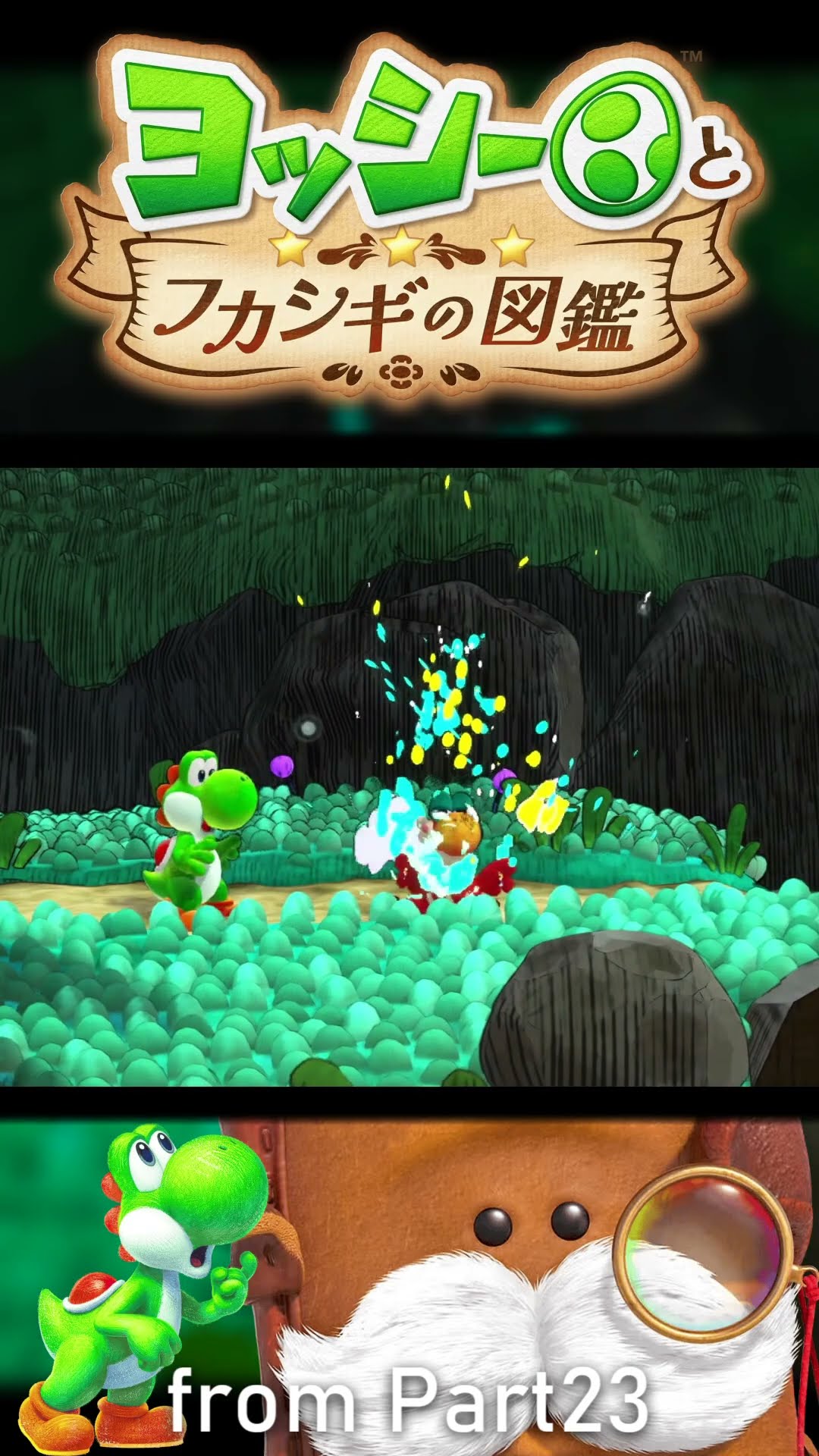 Are you the Bird of Paradise?! :23 [Yoshi and the Mysterious