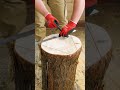 Watch This Amazing Carpenter Turn a Log into Stunning Furniture! 🪵✨ #Shorts #Woodworking