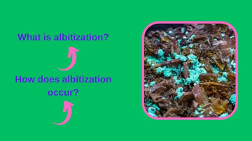 What is albitization? How does albitization occur?