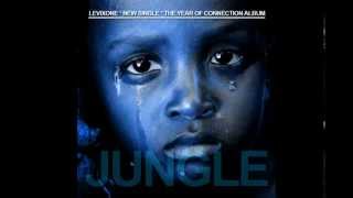 Jungle - Levixone Pro D King chords