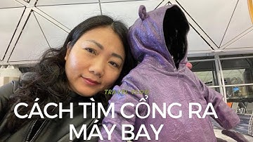 Cách tìm cổng ra máy bay ở sân bay quốc tế:  transit, transfer, connection, thông tin chuyến bay
