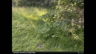 Homes for Sale - 3262 N Emerson Avenue, Indianapolis, IN