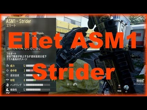 【CoD：AW武器解説】ASM1-Striderはおてんばかわいい