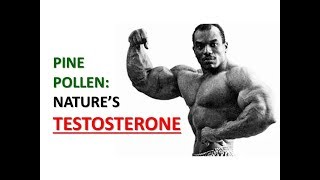 NATURE'S TESTOSTERONE: PINE POLLEN!