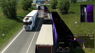 ETS 2 | Reckless Driving + Inappropriate Overtaking | REPORTED