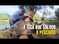 PESCARIA DIFÍCIL MAS ACERTAMOS A ISCA - SALVOU O DIA!