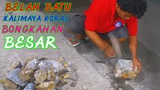 BELAH KALIMAYA KORAL GAMBLING BONGKAHAN BESAR